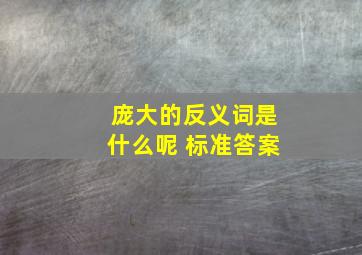 庞大的反义词是什么呢 标准答案